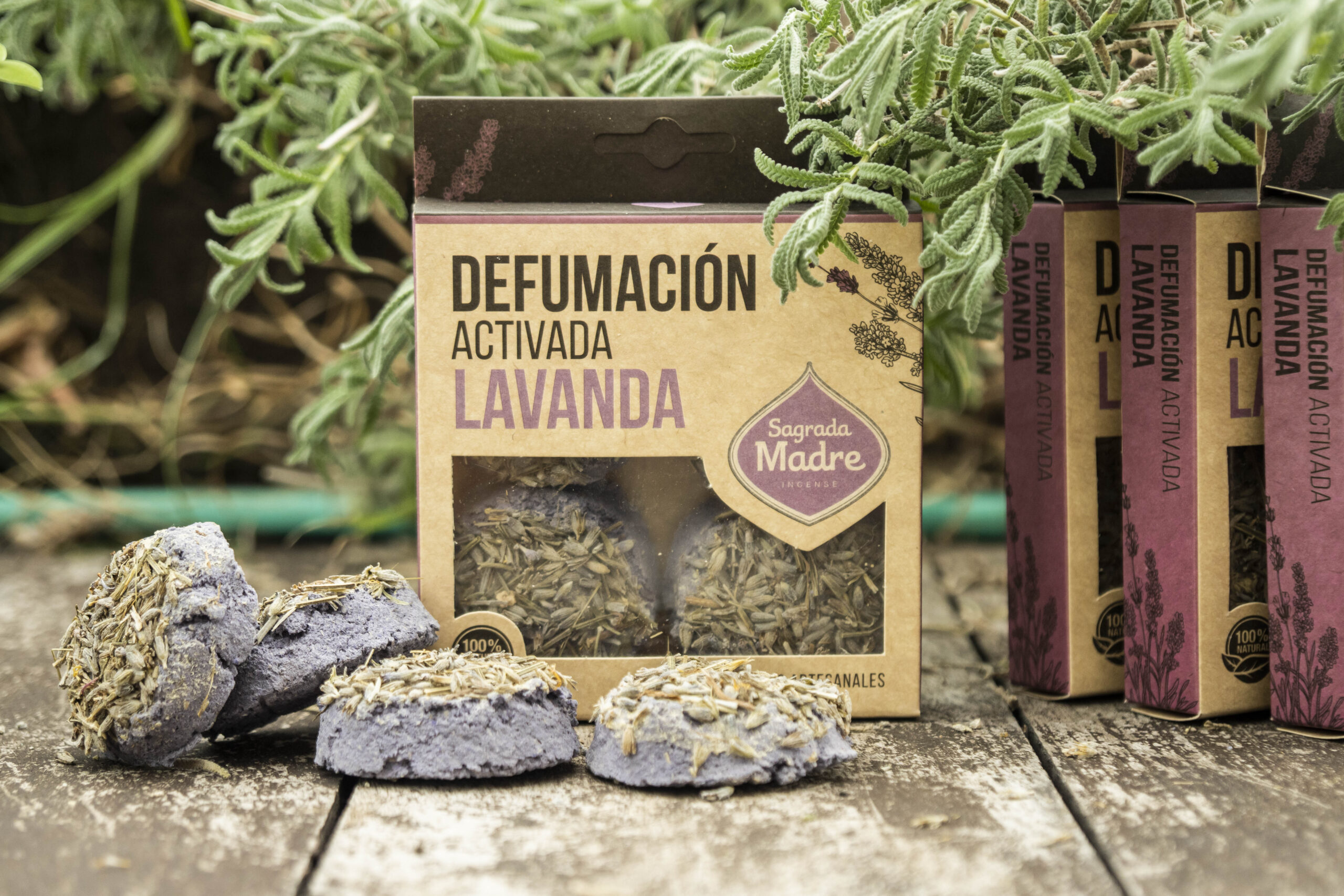 Pastilla x 4 Lavanda - Imagen 10