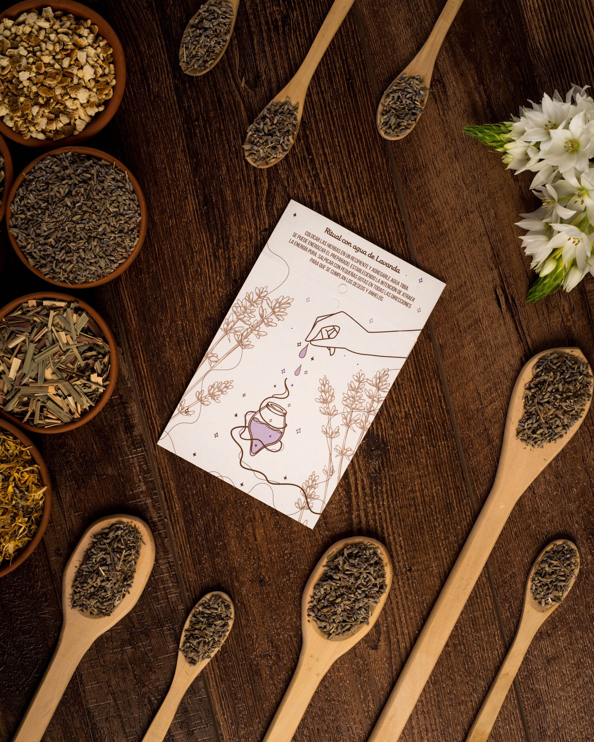Hierbas Lavanda - Imagen 5
