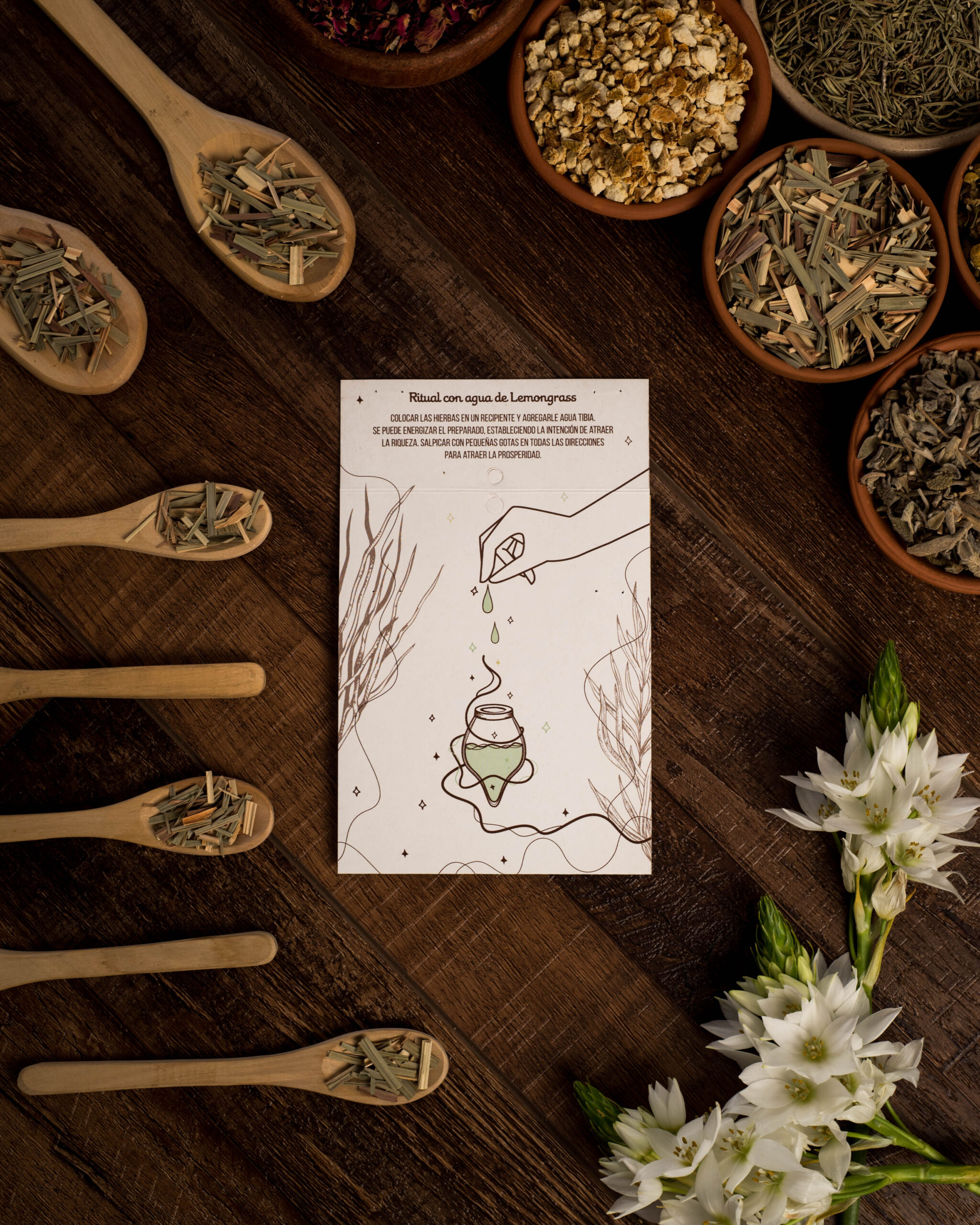 Hierba Lemongrass - Imagen 4