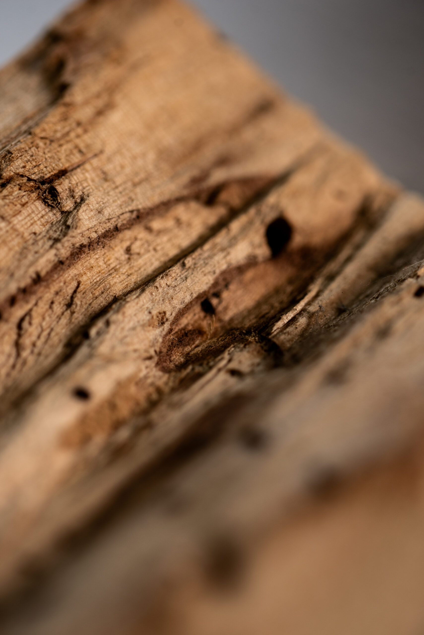 Stick de Palo Santo Puro con Chips - Imagen 6