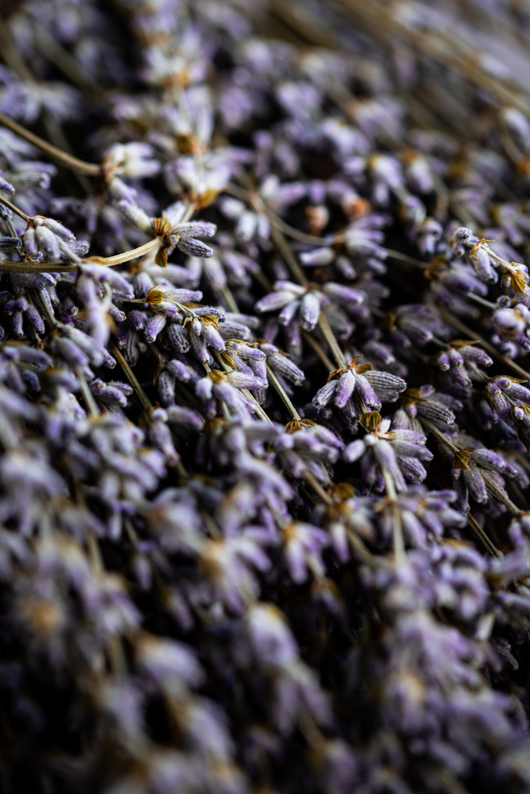 Stick de Palo Santo con Flores de Lavanda de La Patagonia - Imagen 3