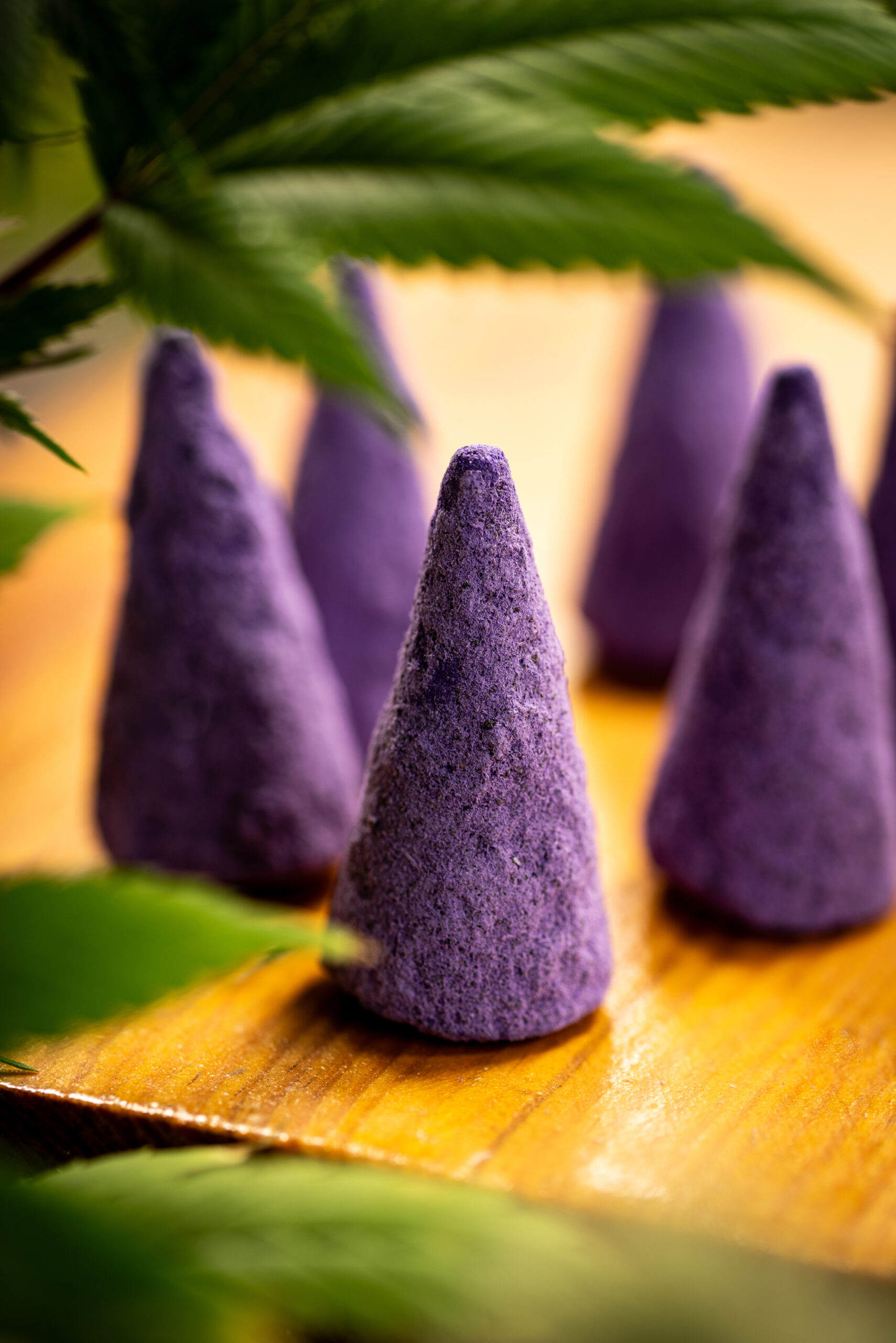 Conos Purple Hindu Kush (indica) - Imagen 3