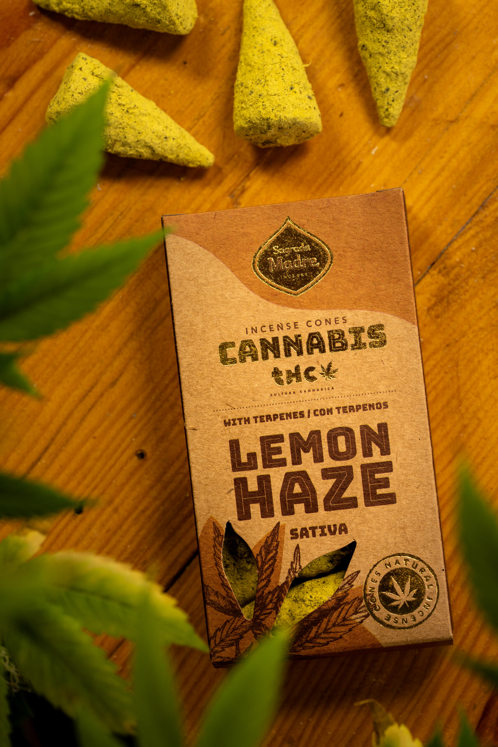 Conos Lemon Haze (sativa) - Imagen 2