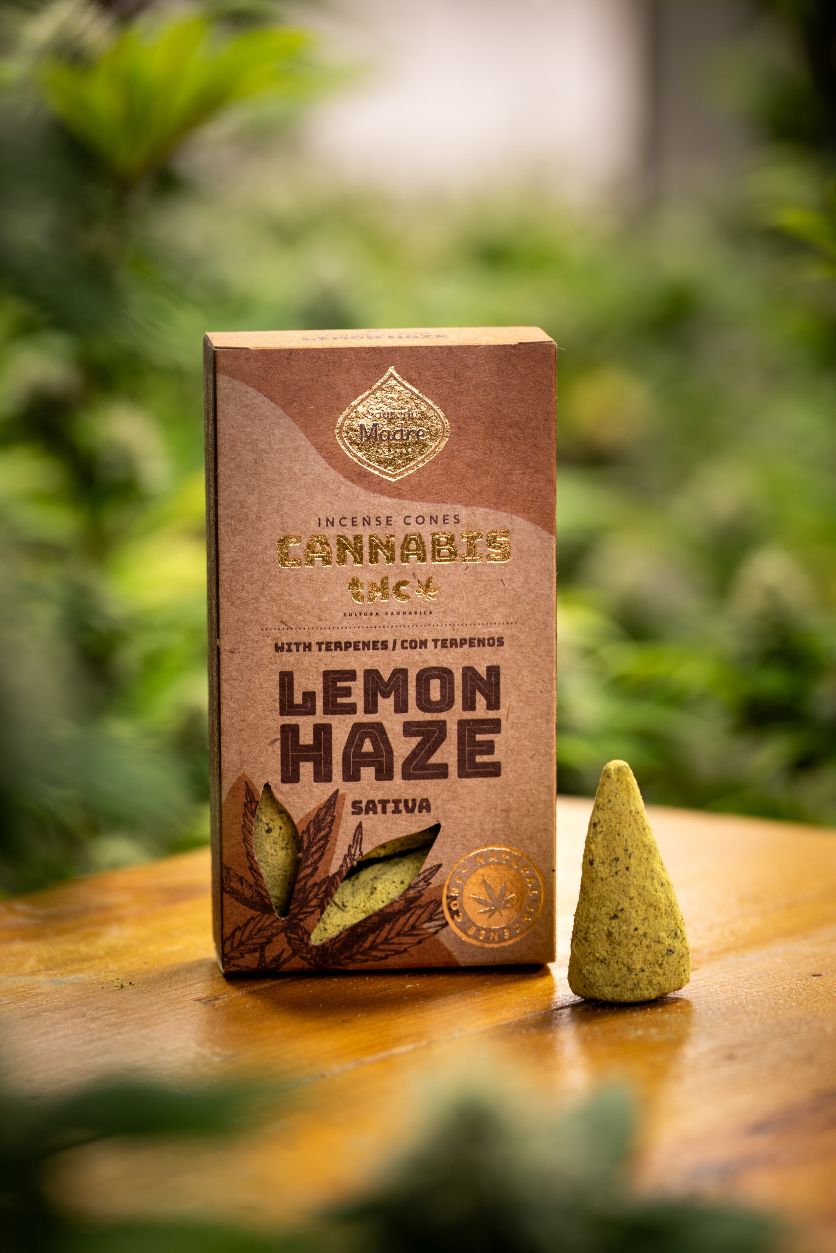 Conos Lemon Haze (sativa) - Imagen 3
