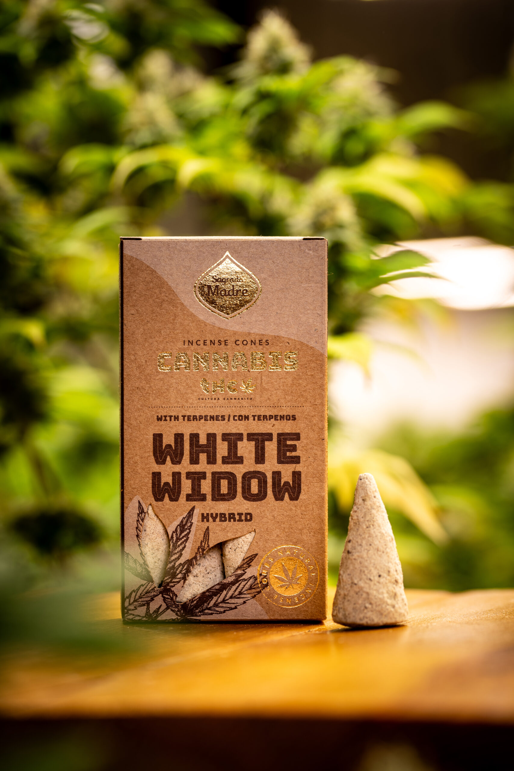 Conos White Widow - Imagen 2