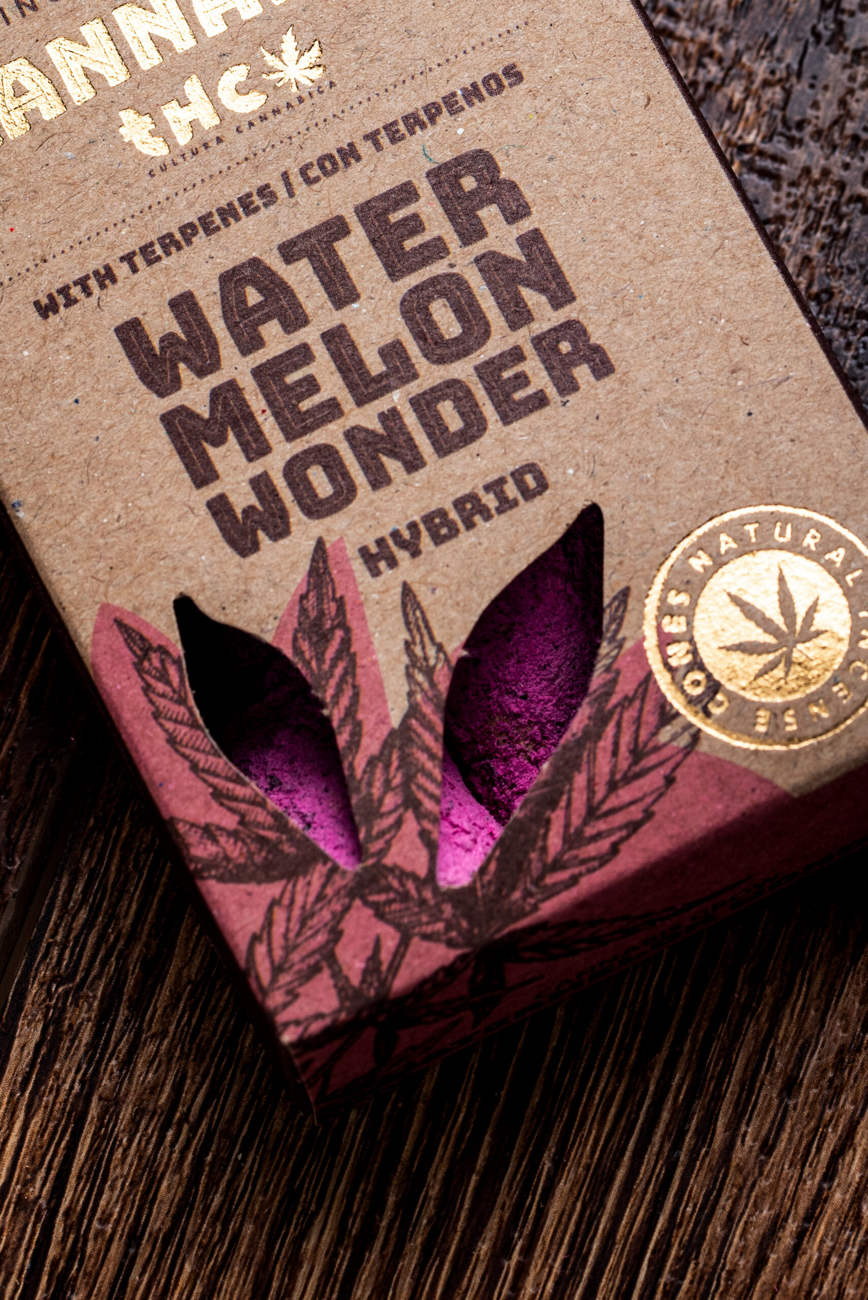 Conos Water Melon Wonder - Imagen 6