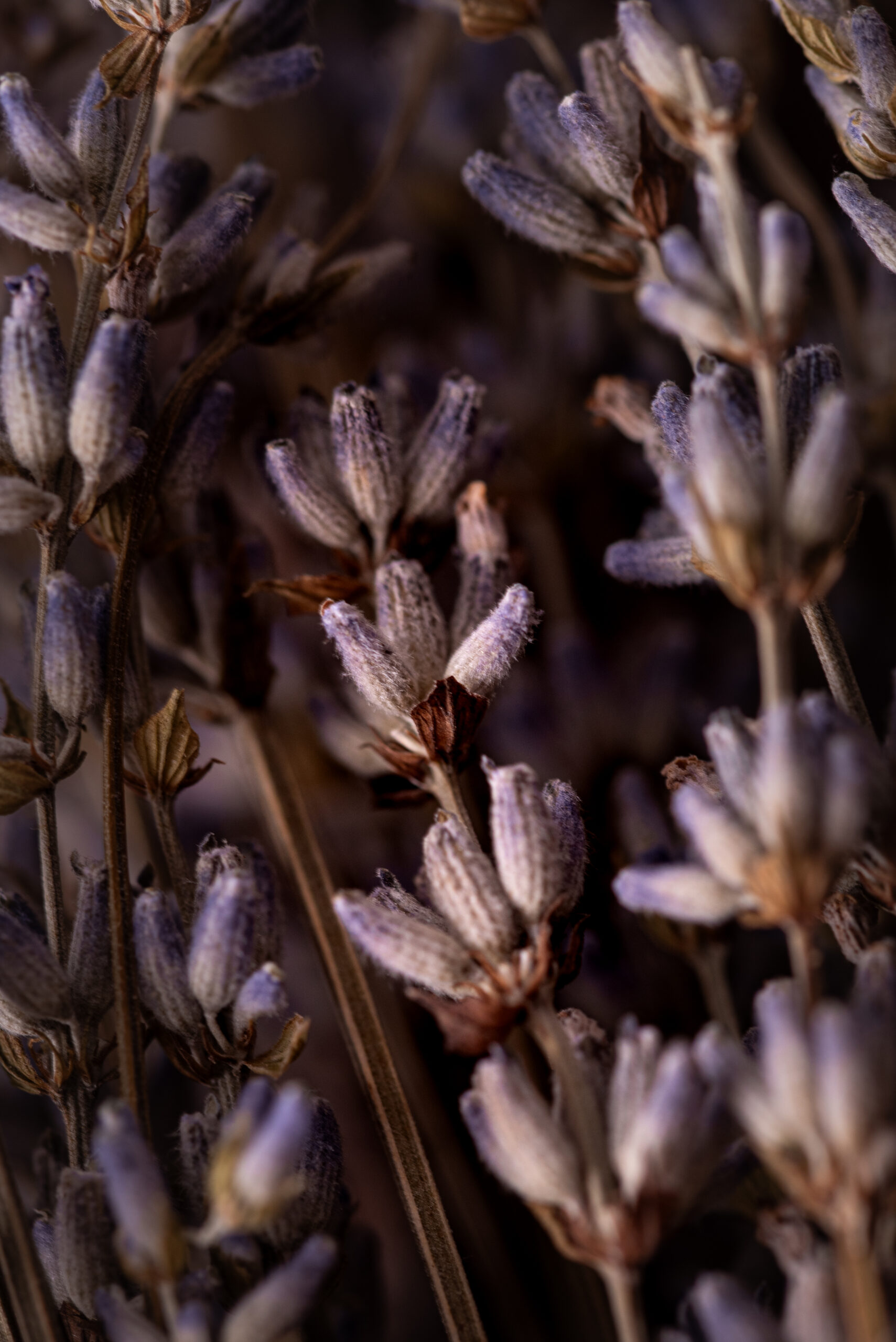 Incienso Natural Doble Aroma - Lavanda y Olíbano - Imagen 5