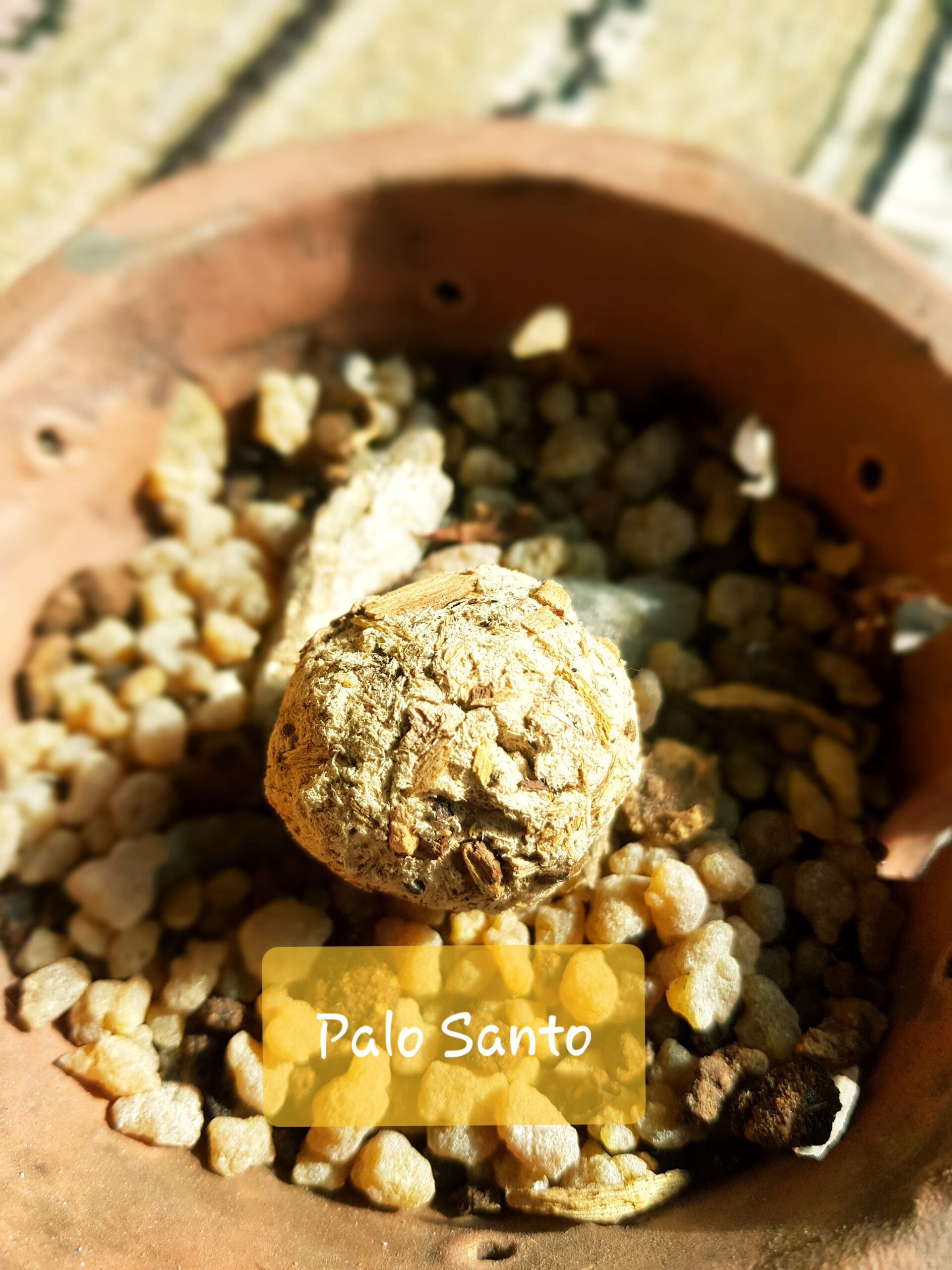 Palo Santo - Imagen 2