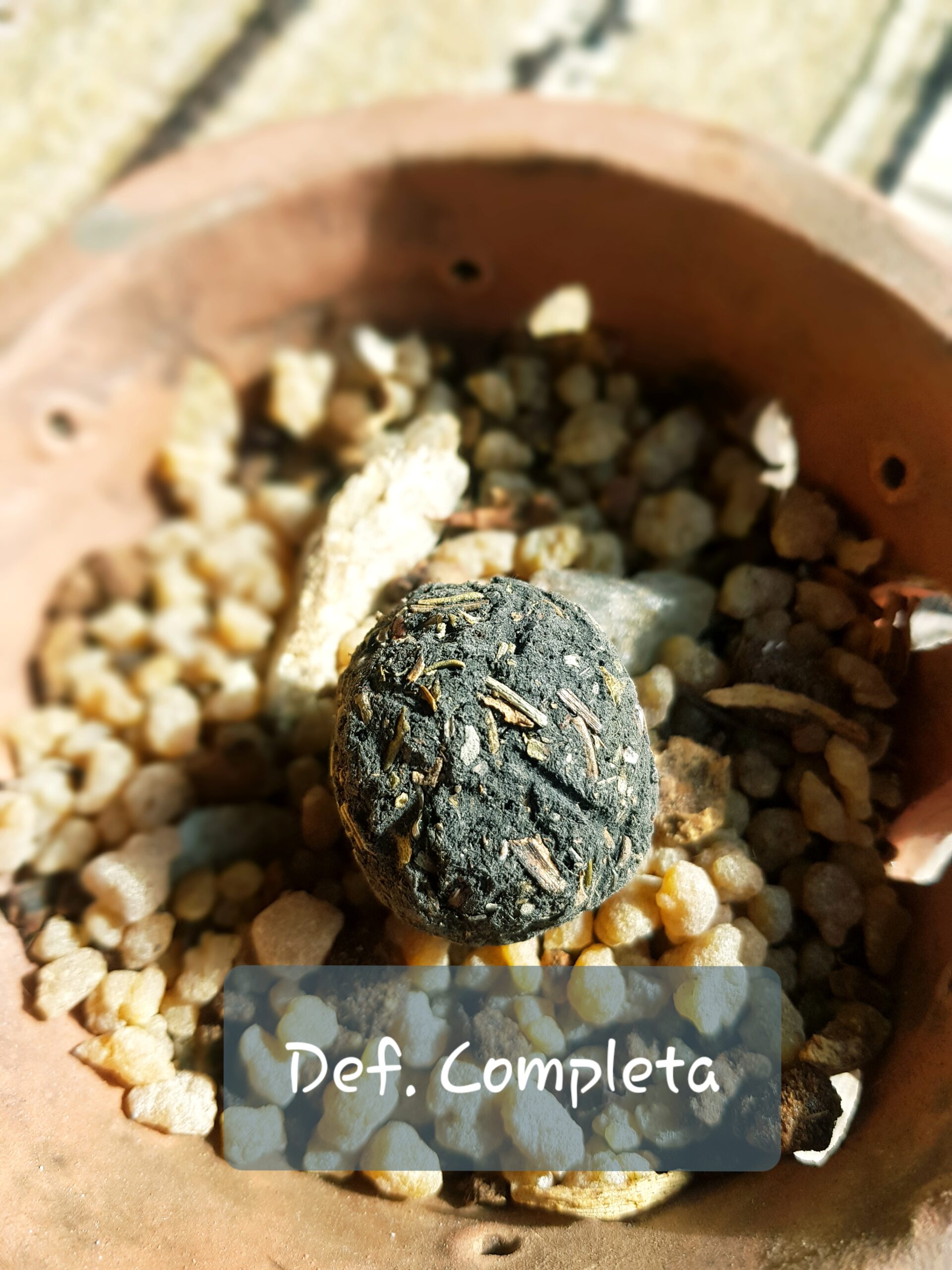 Estoraque y Alcanfor - Imagen 2