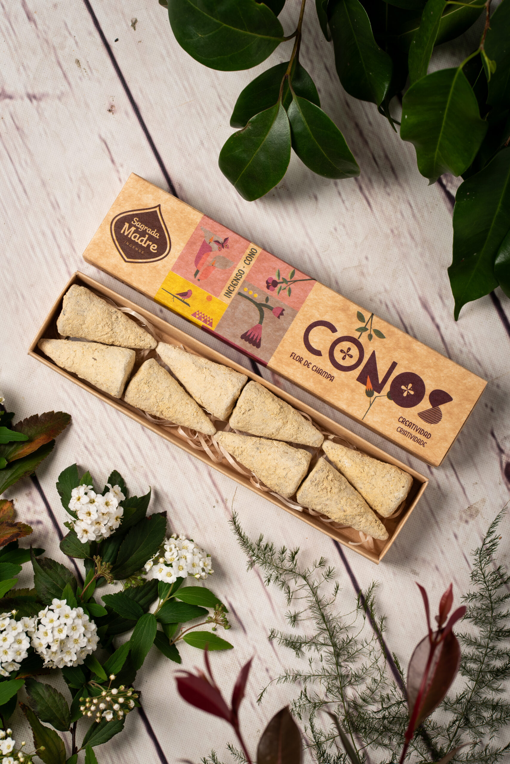Conos Flor de Champa - Creatividad - Imagen 5