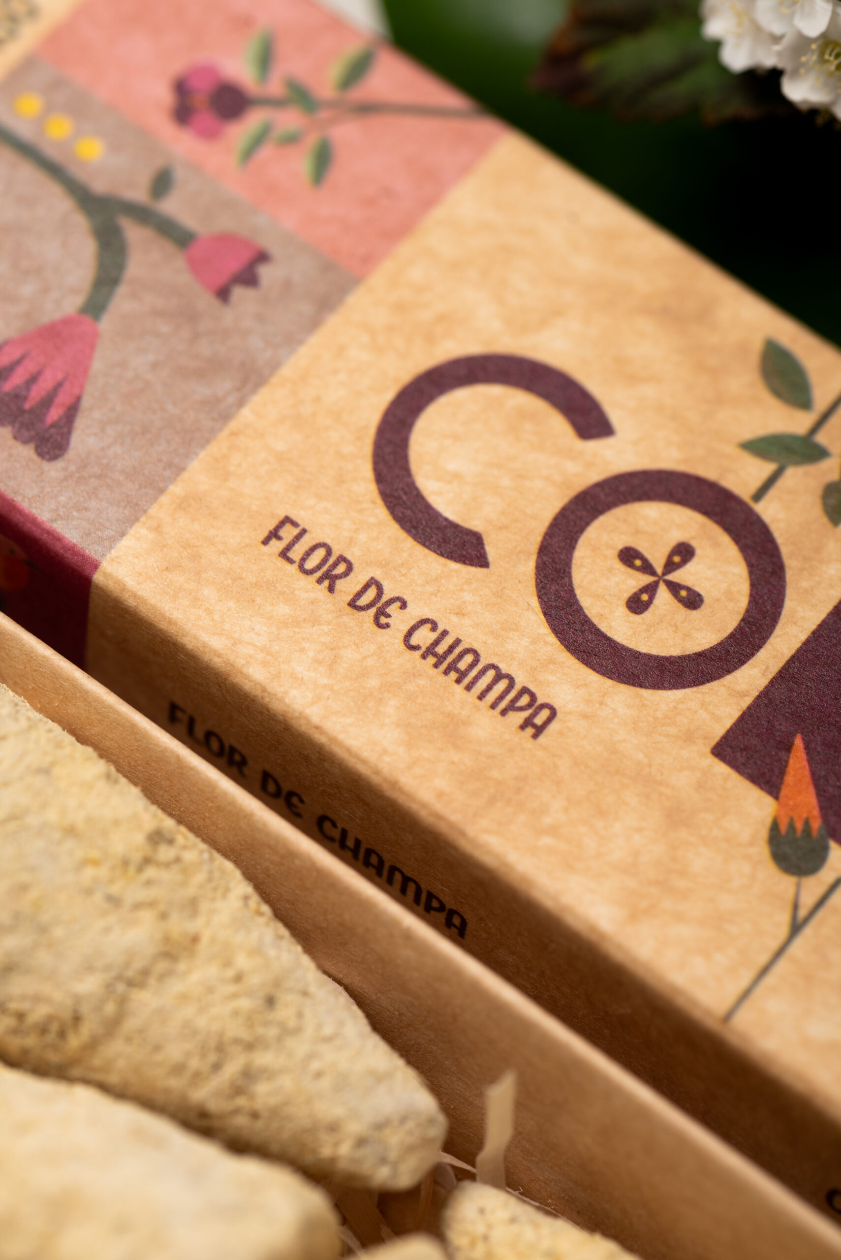 Conos Flor de Champa - Creatividad - Imagen 4