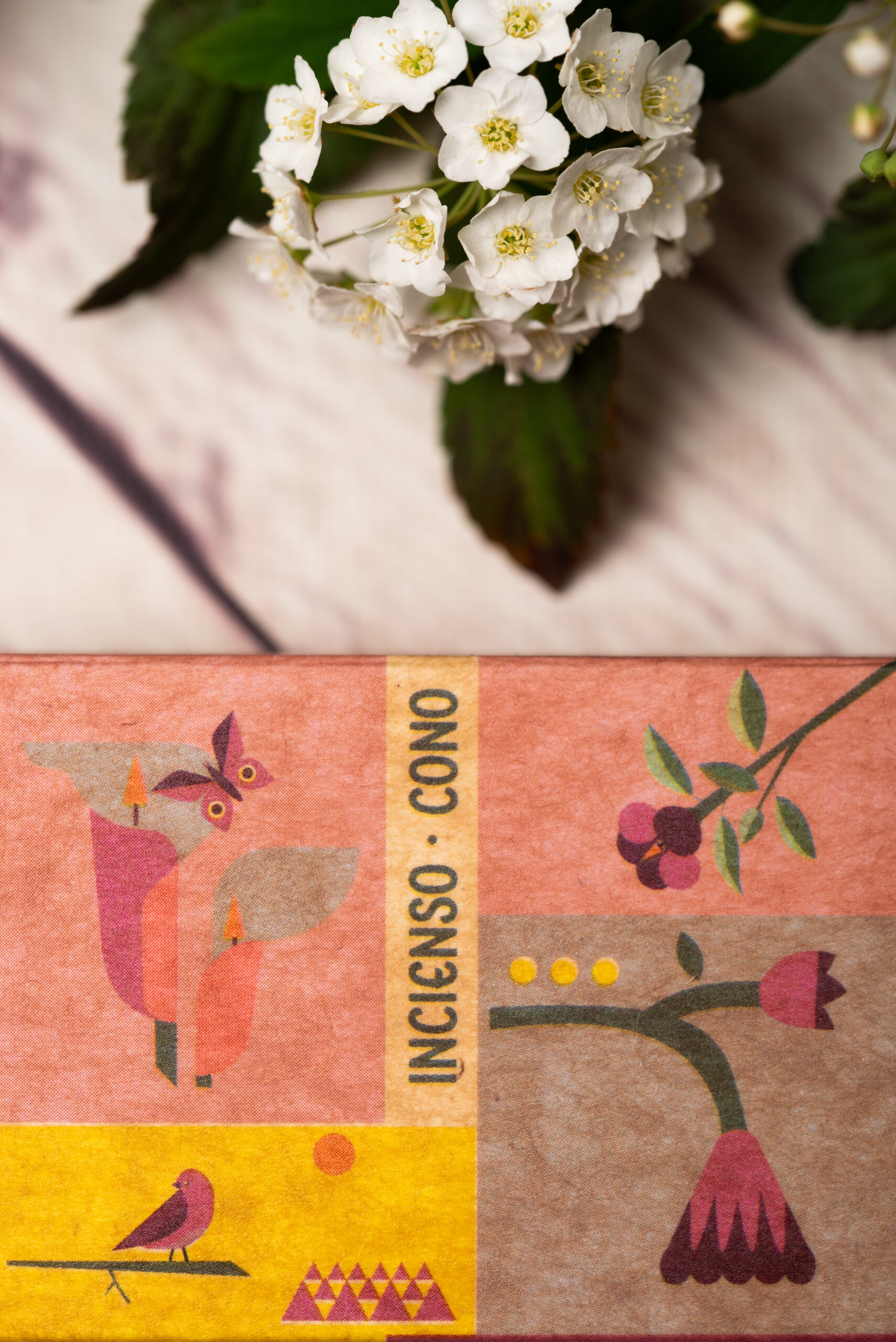 Conos Flor de Champa - Creatividad - Imagen 3