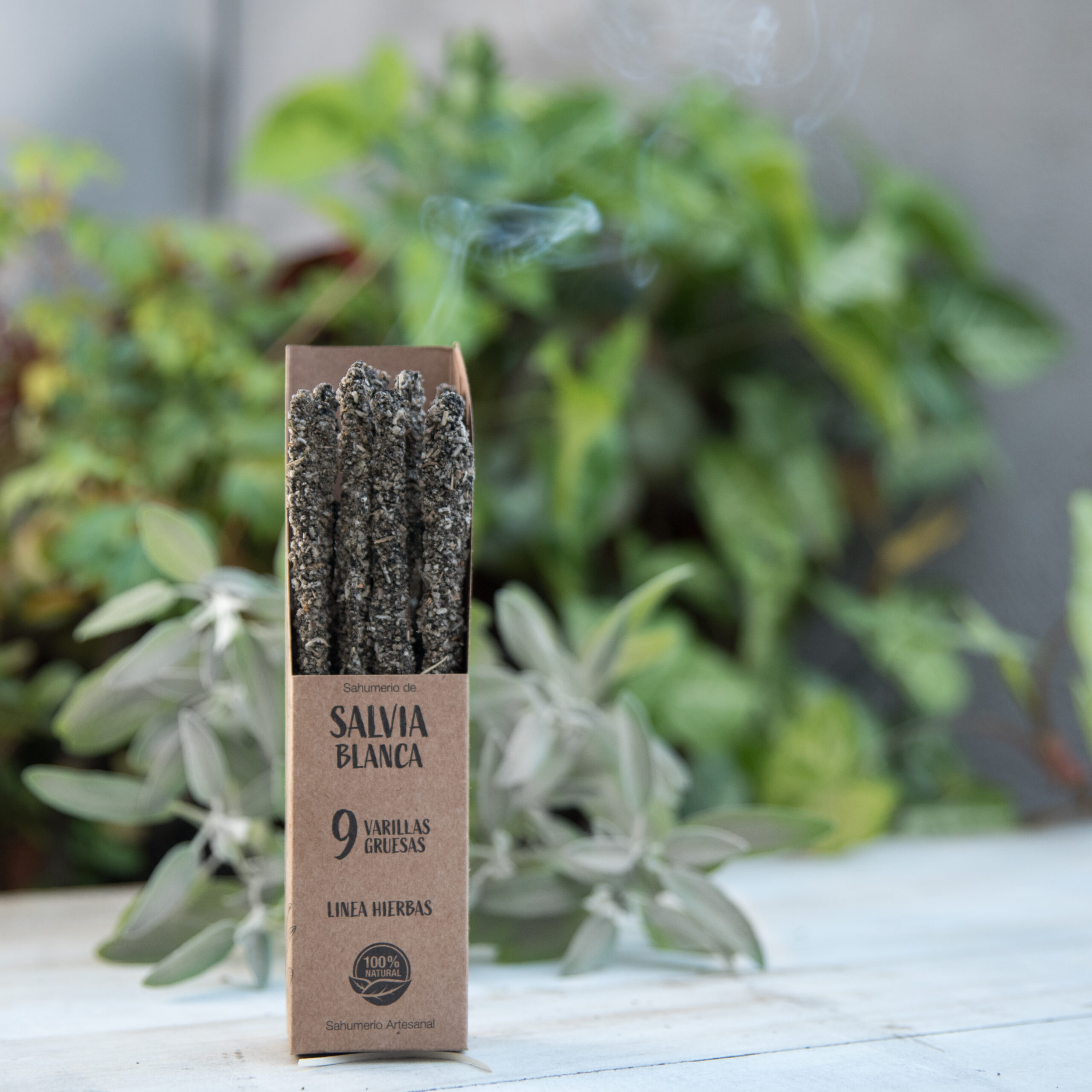 Salvia Blanca - Imagen 5