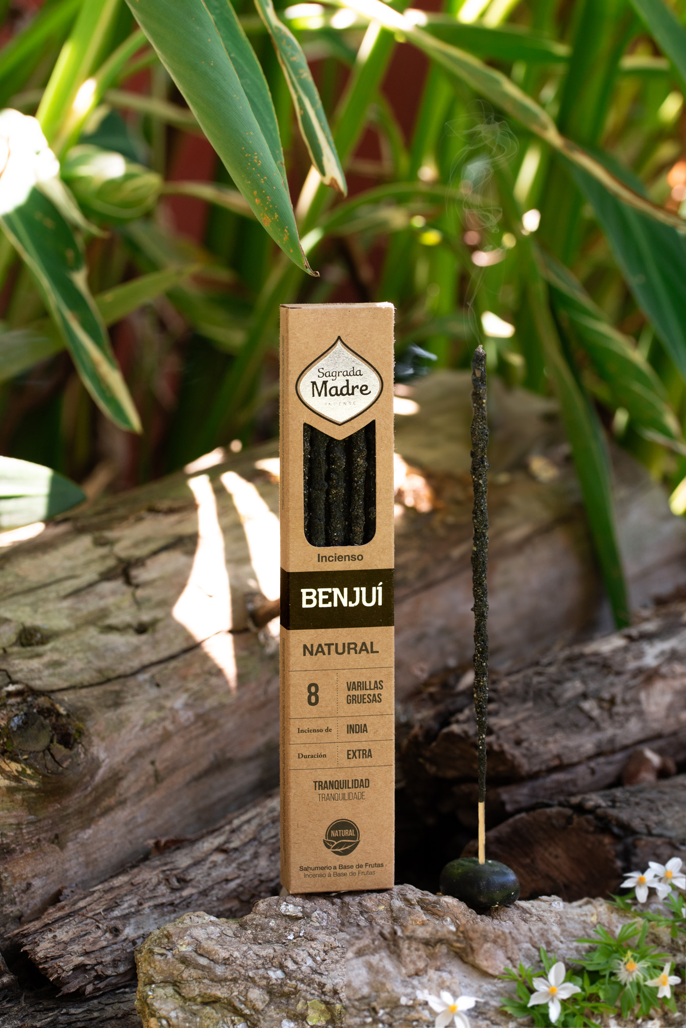 Benjui Natural - Imagen 2