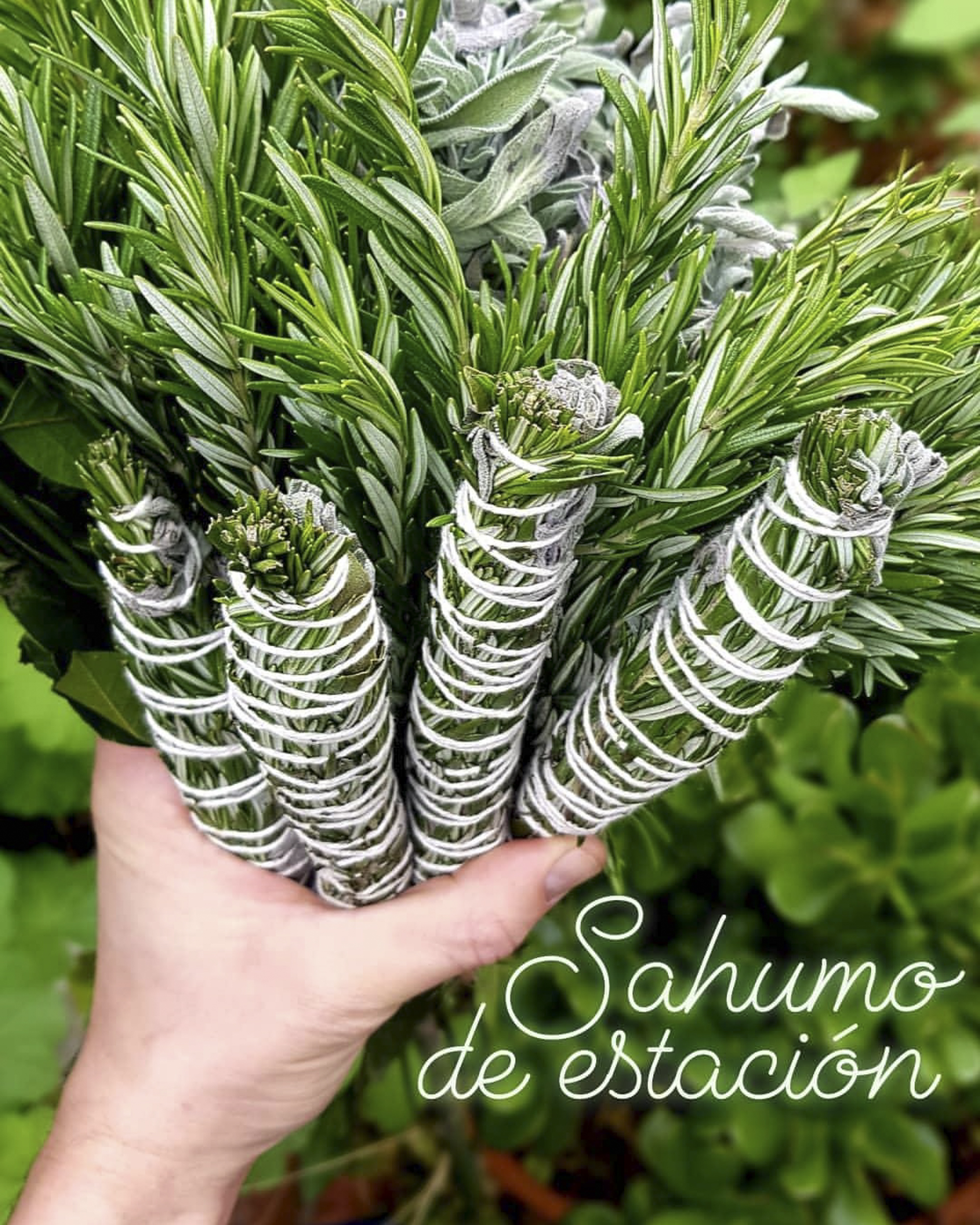 Sahumo de Estación 4 Hierbas