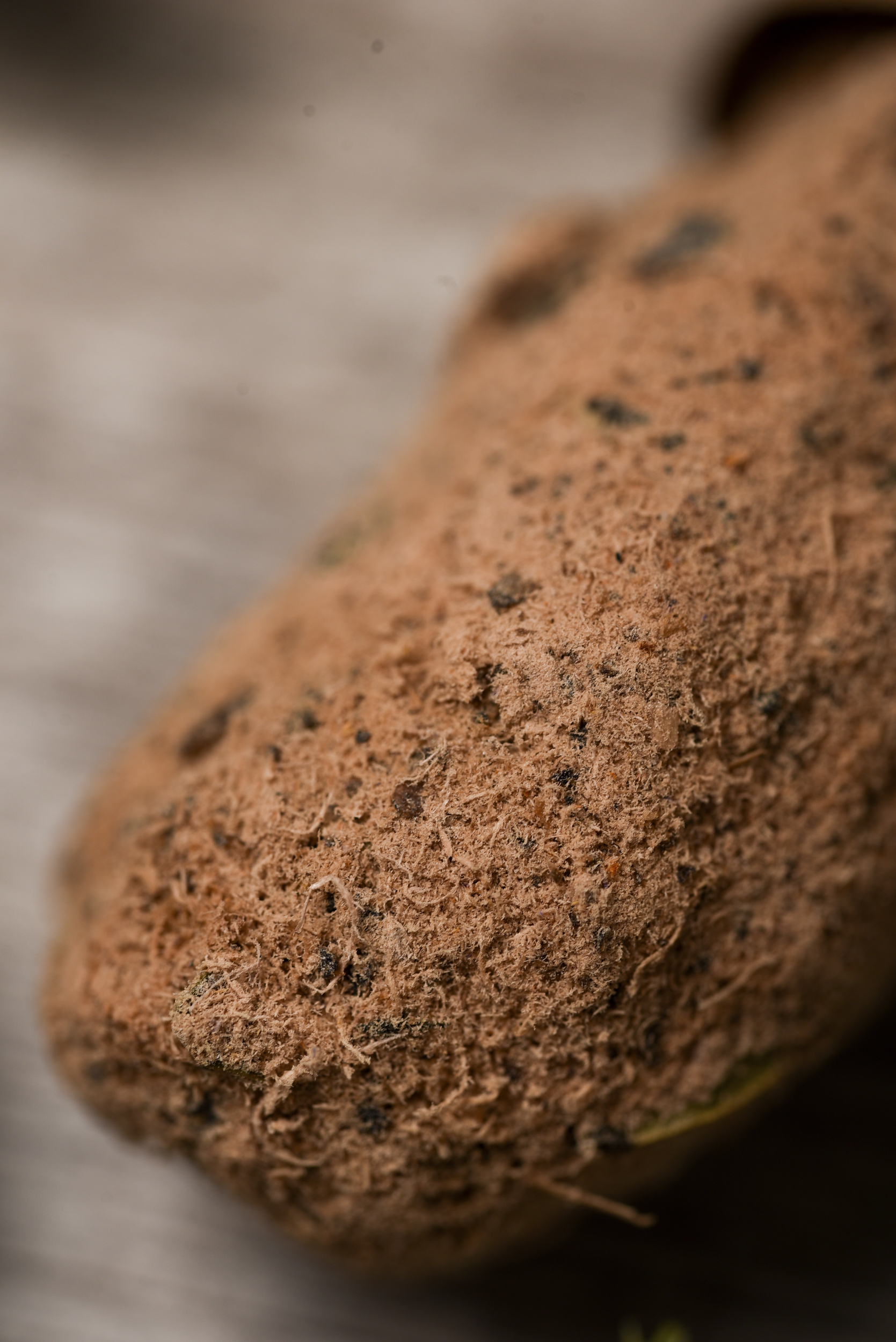 Sahumo de Sándalo y Hierbas Aromáticas