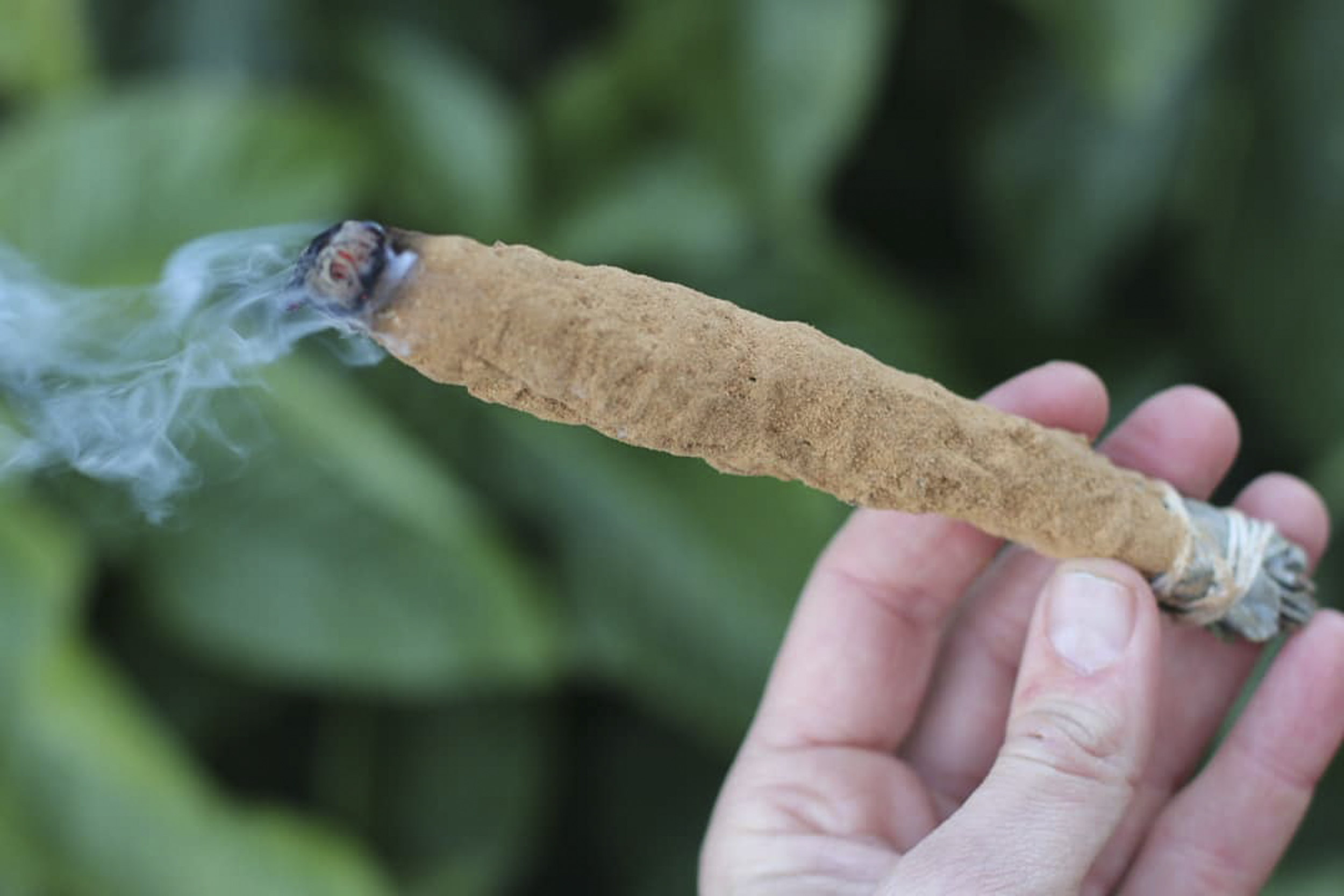 Sahumo de Sándalo y Hierbas Aromáticas