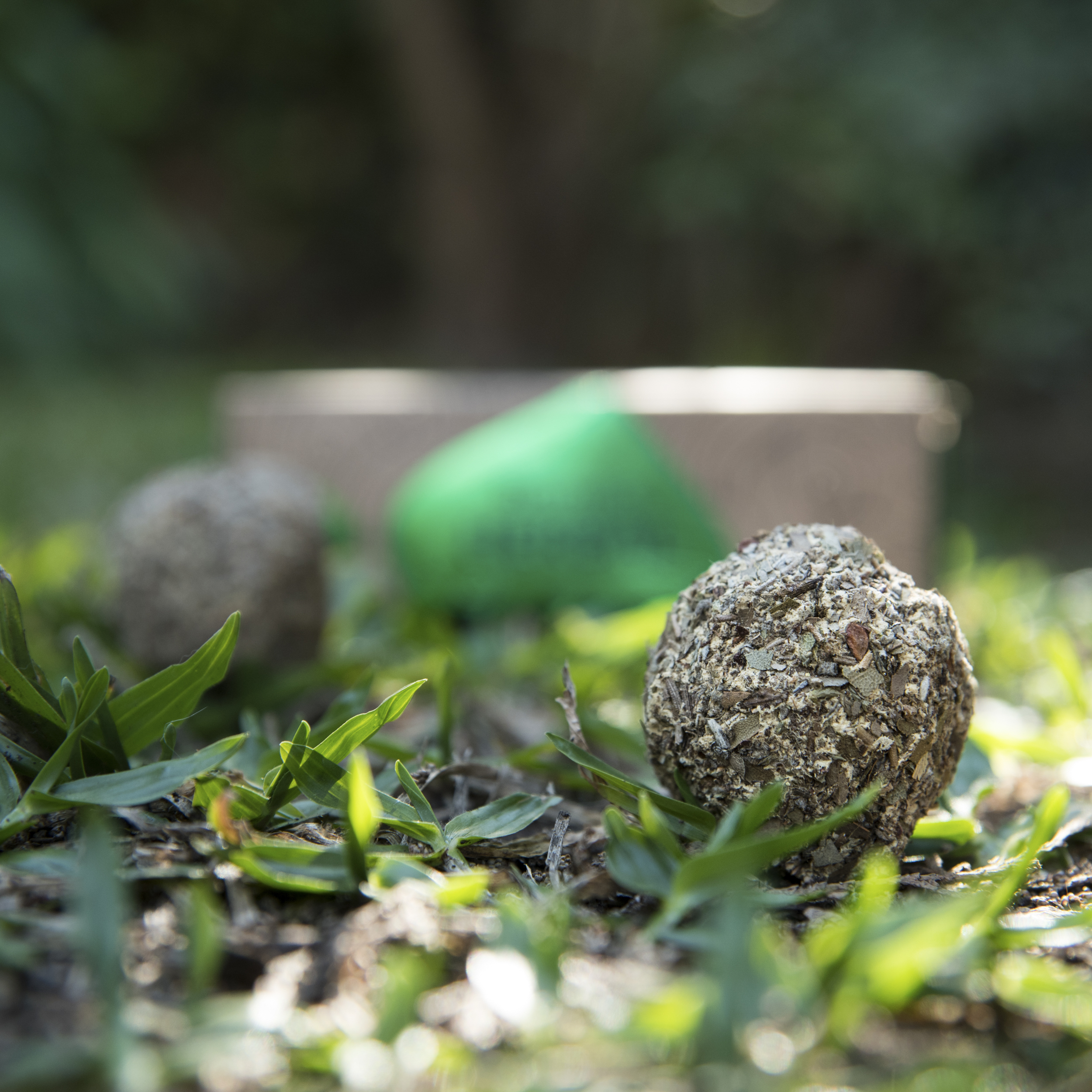 Bomba Herbal x3 Gr Limpieza Energética