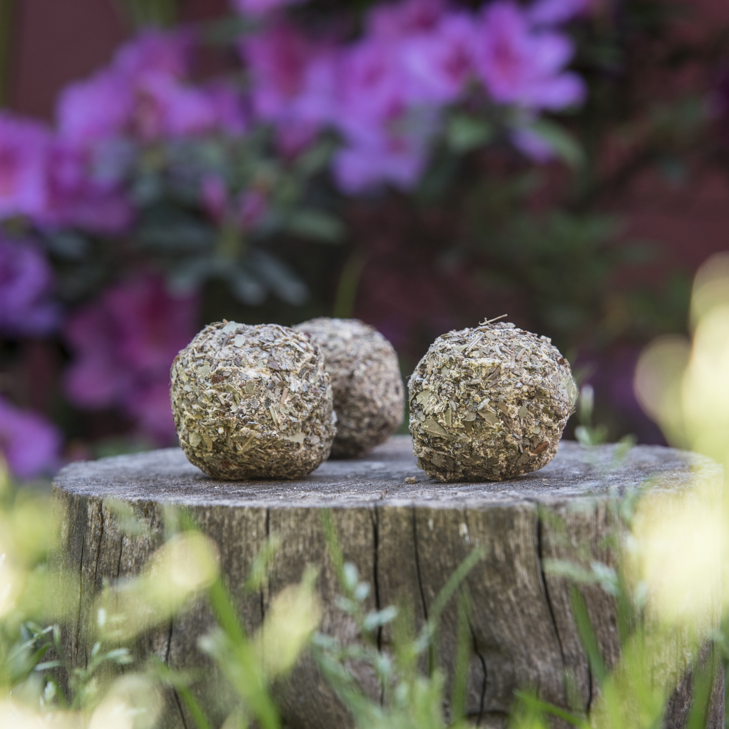 Bomba Herbal x3 Gr Limpieza Energética