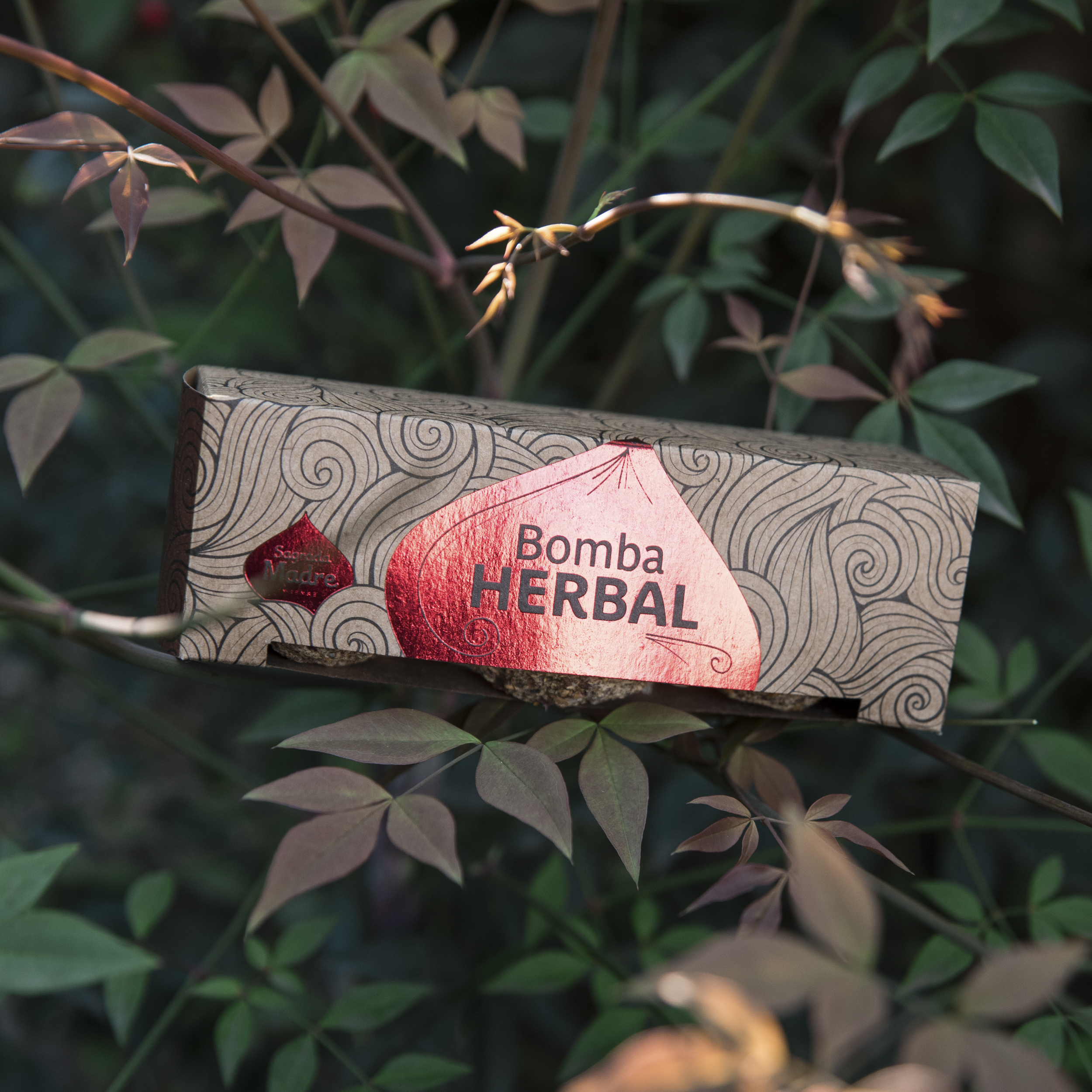 Bomba Herbal x3 Gr Purificación Energética