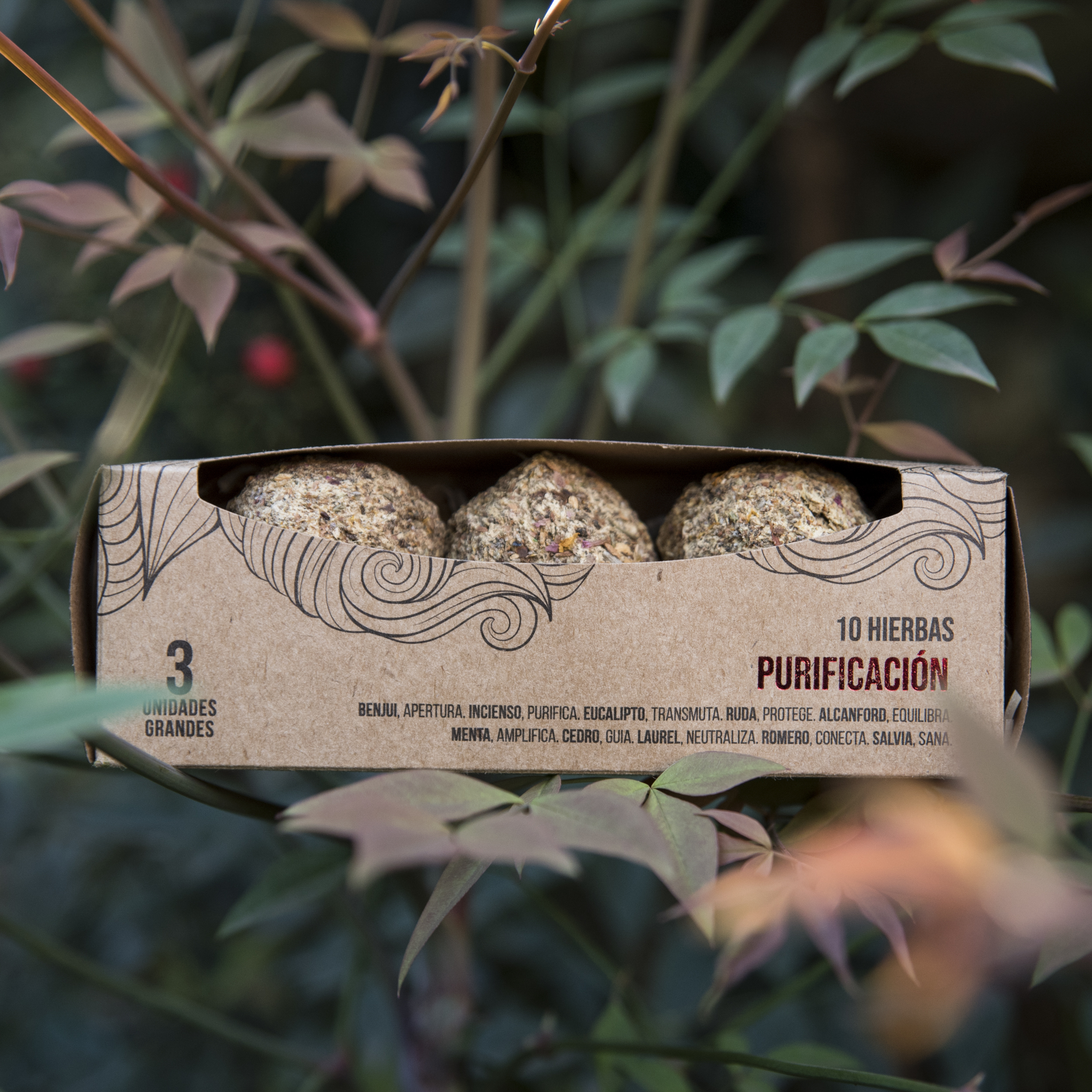 Bomba Herbal x3 Gr Purificación Energética