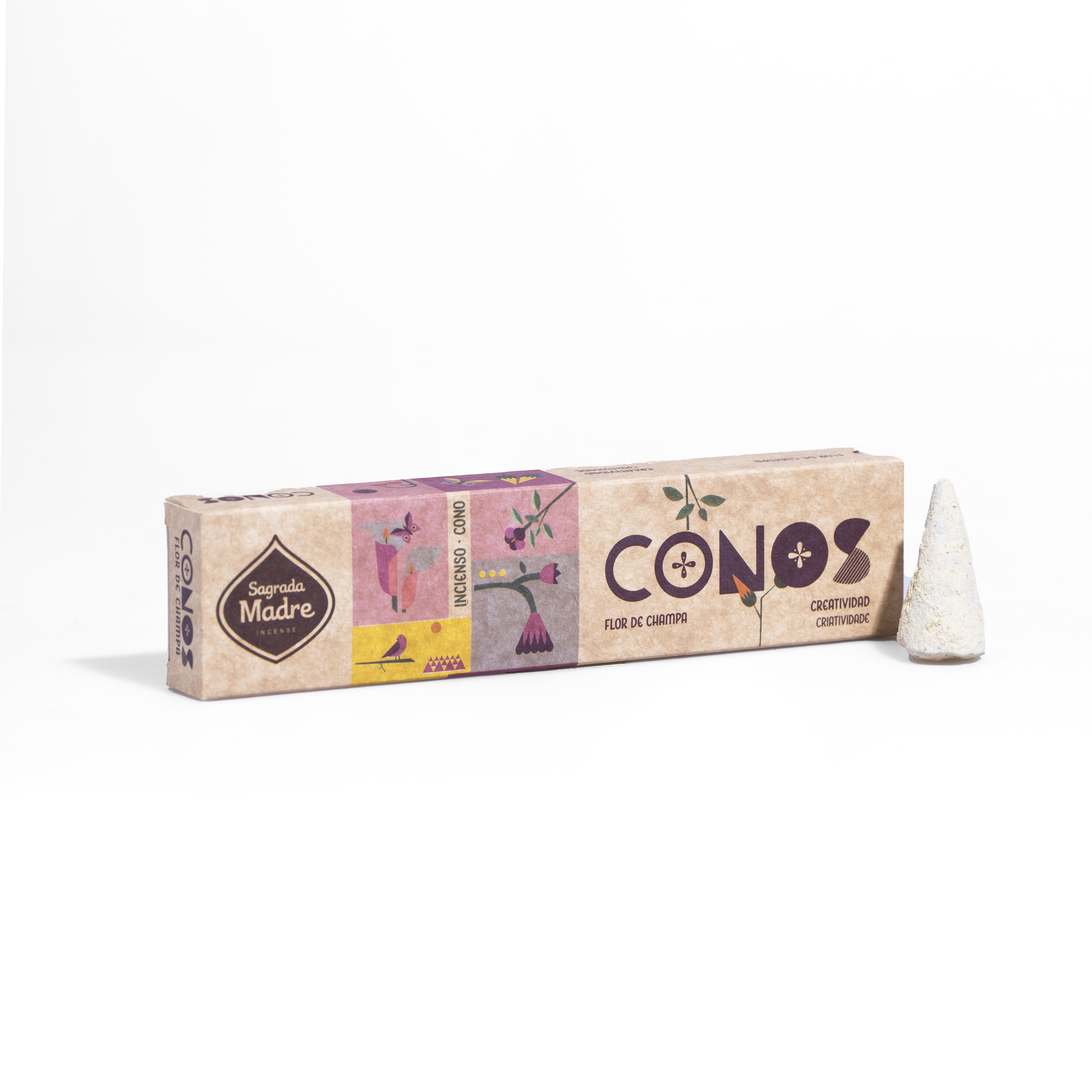 Conos Flor de Champa - Creatividad