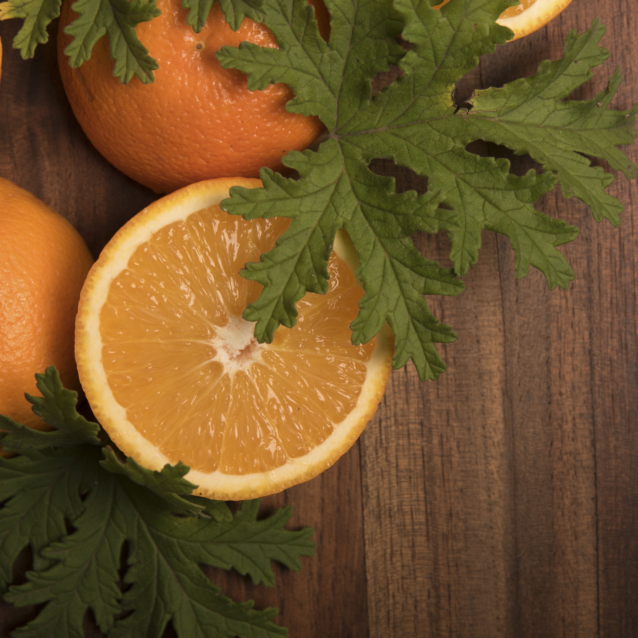 Incienso Natural de Citronela, Naranja y Palo Santo