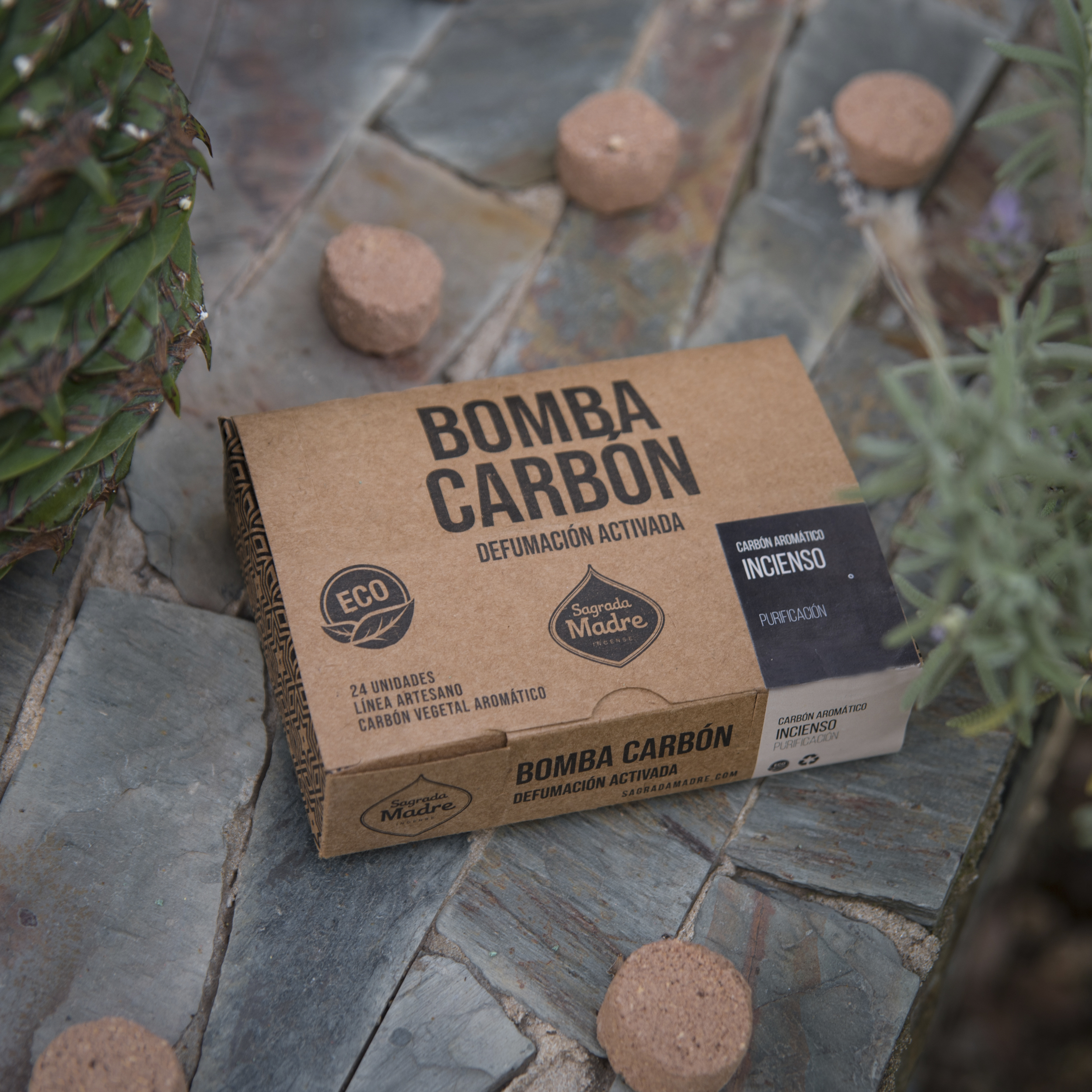 Bomba Carbón x24 Incienso