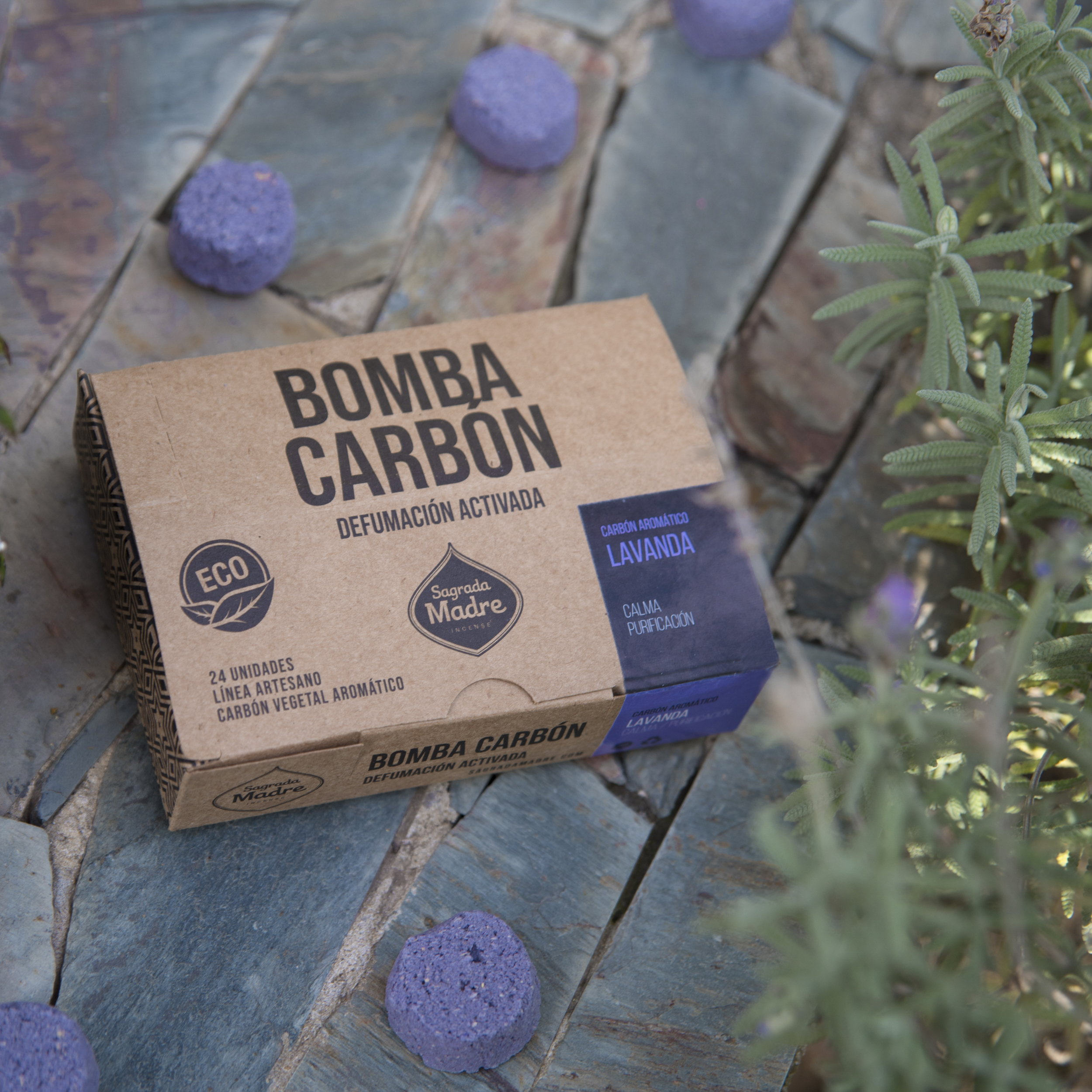 Bomba Carbón x24 Lavanda